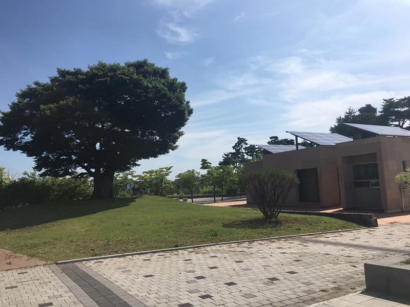 太阳能控制器的负载端可以接什么类型的负载？